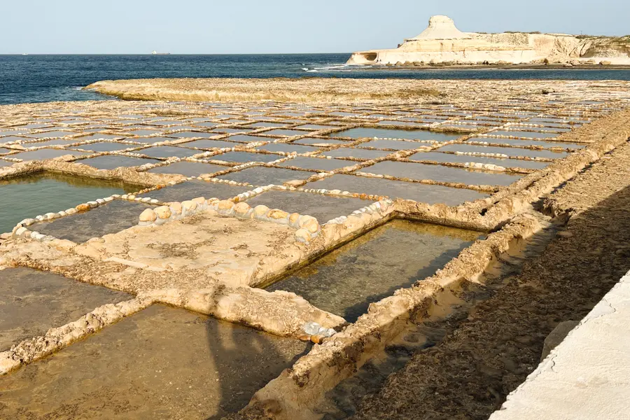 L. Riou Marais Salants