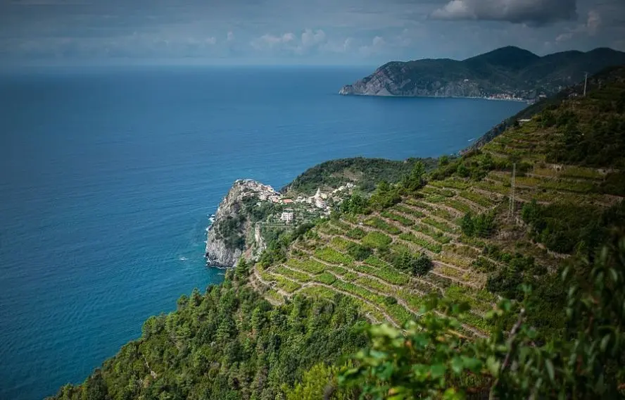 T. Vattard Randonnée avec vue sur les vignes et Corniglia