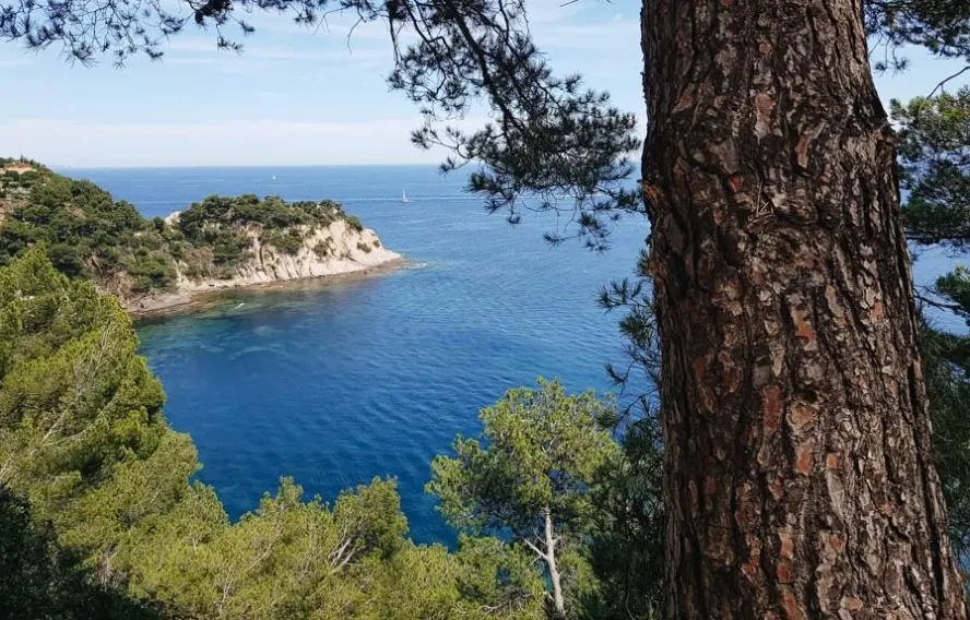 M. Coppin Randonnée dans le massif des Maures