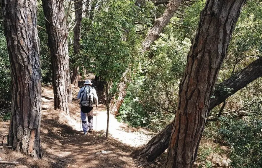 M. Coppin Randonneur sur l'île de Porquerolles