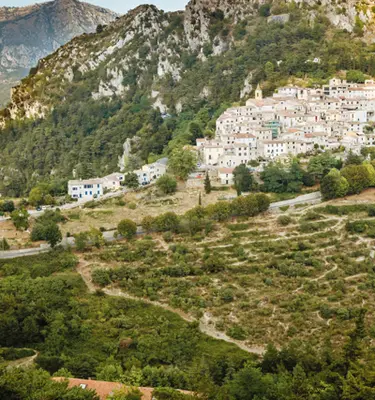 saint-agnes