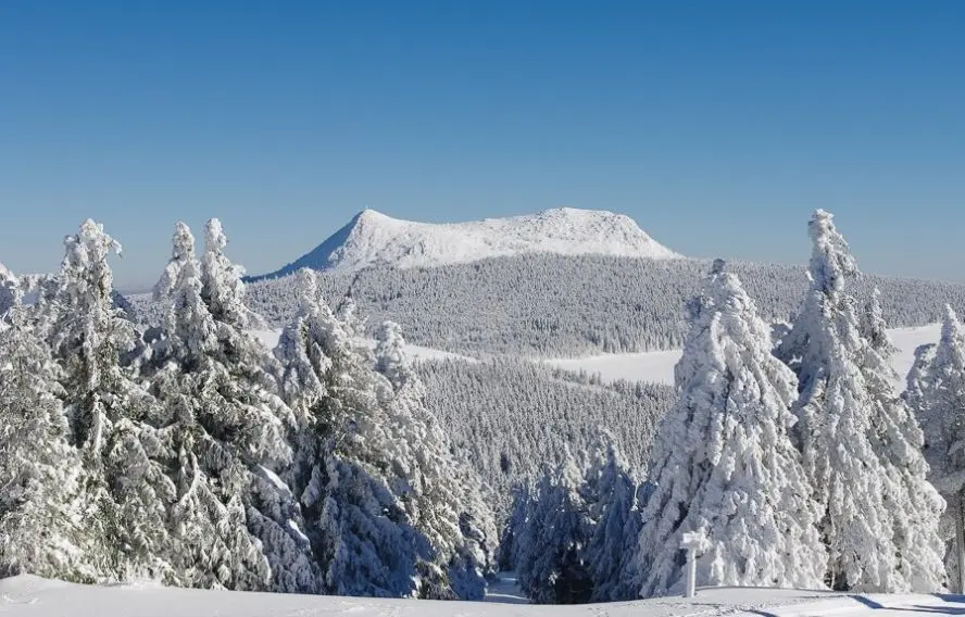P. Saint-Jean Randonnée en forêt sur le Mézenc