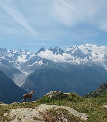 © P. Saint-Jean Vue sur les Alpes