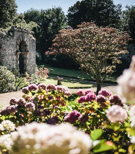 T. Vattard les îles anglo-normandes : un jardin à l'anglaise