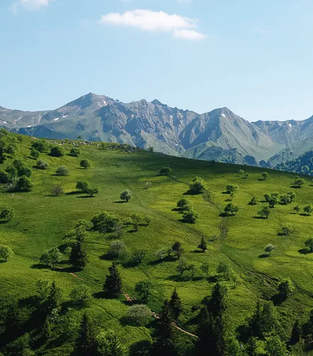 © P. Saint-Jean puy-de-sancy