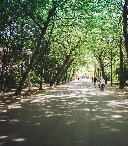 Vondelpark © Unsplash Hung Tran Piste cyclable