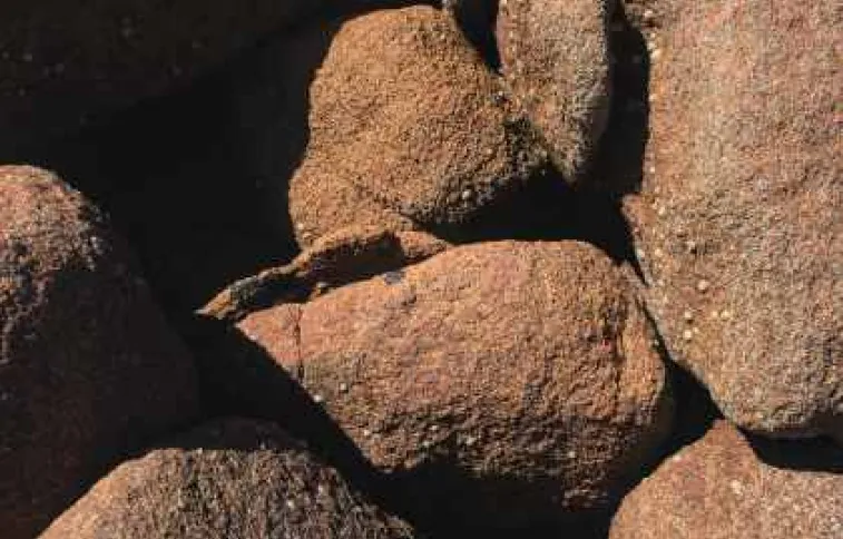 cote_de_granit_rose