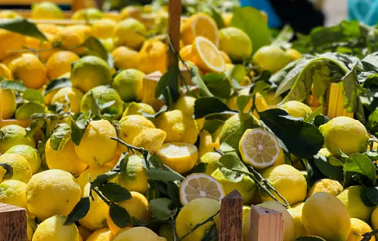 citron-sicile-marche-adobestock-cmon