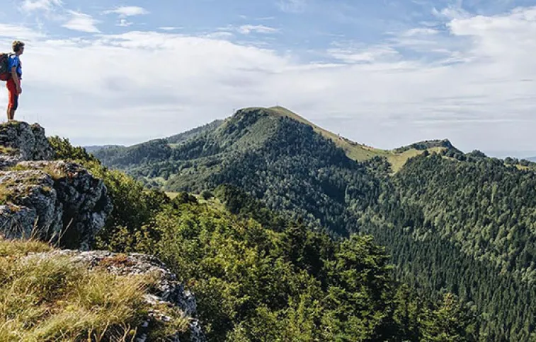 jura jura