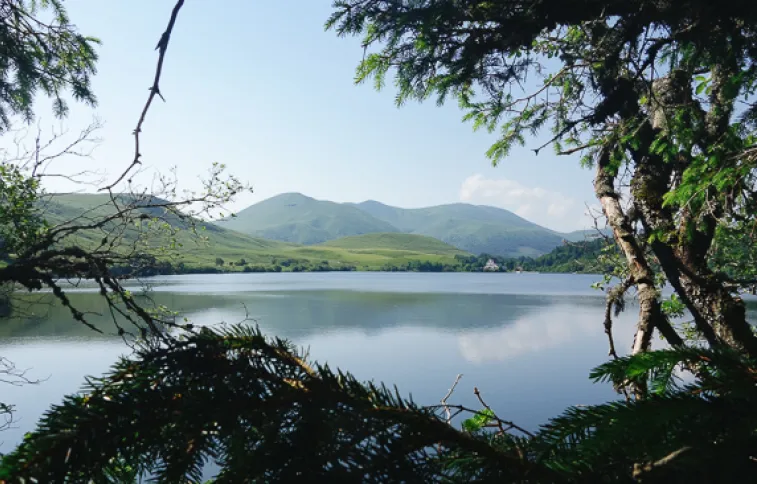 mcoppin lac-guery