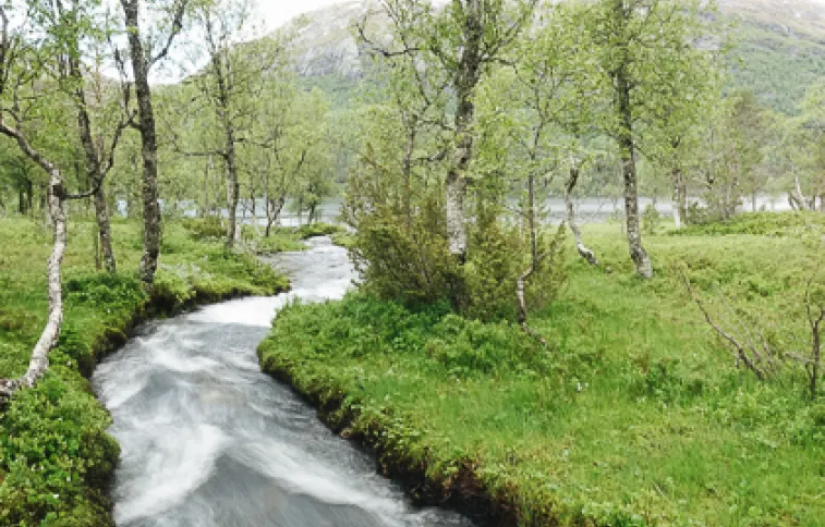 © likholefossen-agaunot paysage-langestolen-likholefossen-agaunot