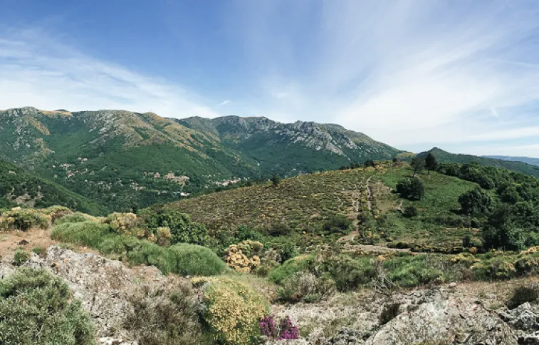 © psjean paysage-nature-cevennes
