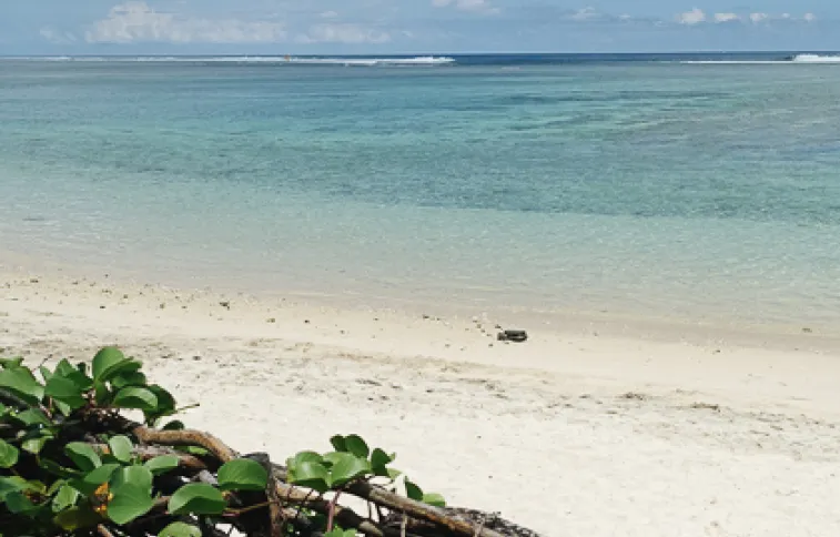 cgerbois plage-ermitage-reunion-cgerbois.jpg