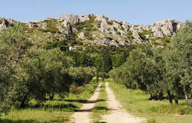 ©psaintjean provence-cote-azur-randonnee-alpilles