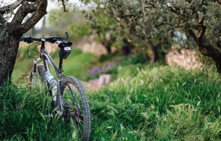 olivier-unsplash-riccardo-chiarini velo-olivier-unsplash-riccardo-chiarini
