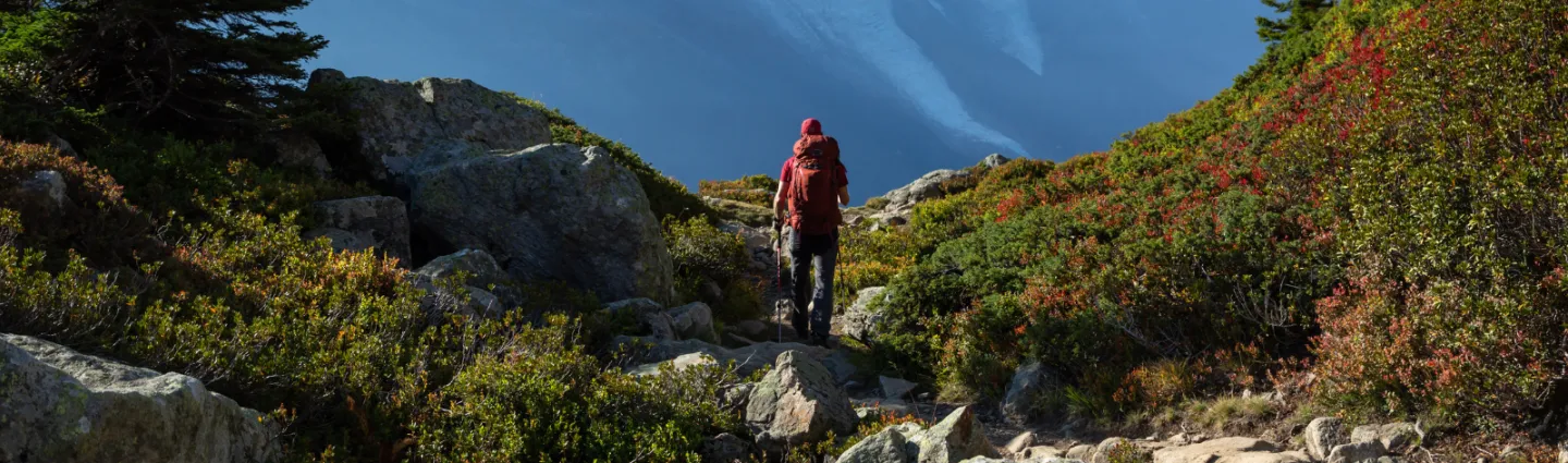 © canva hike-chamonix