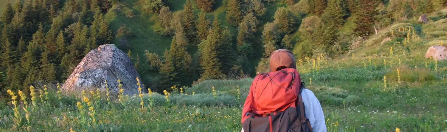 sancy-anivollet