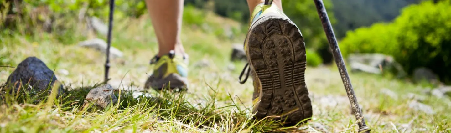 nordic-walking-adobestock nordic-walking-adobestock