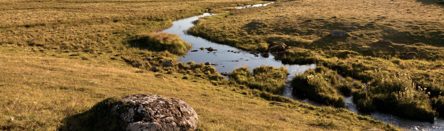 © adobestock-crobard auvergne-massif-central-pleine-lozere