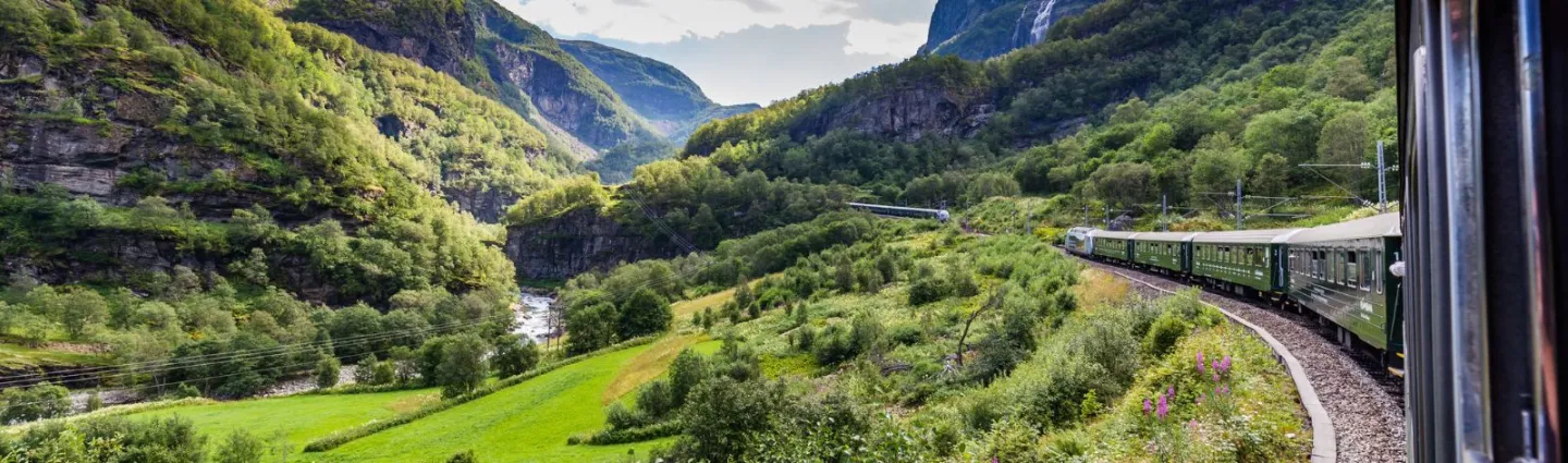 hilda-weges-adobestock train-du-flam-sognefjord