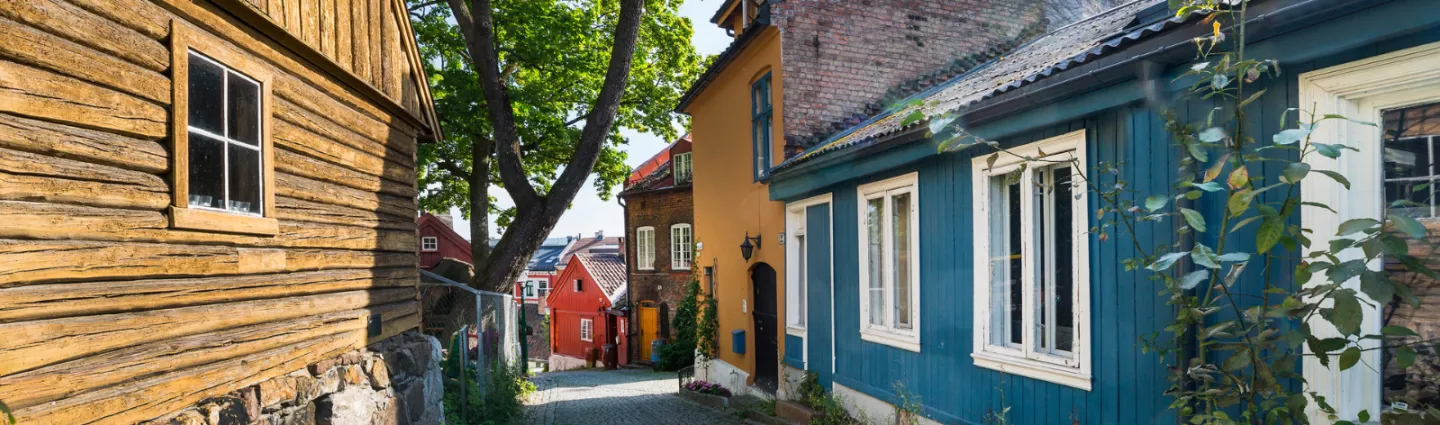 © bastianlinder ruelle-oslo-norvege