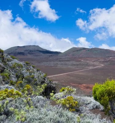adobestock-stephane-potin route-volcan-ile-de-la-reunion