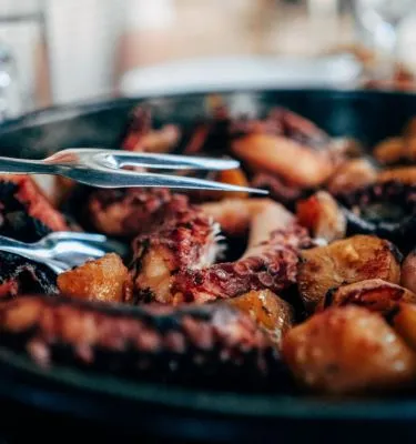 unsplash-jesse-hanley plat-croate-poulpe