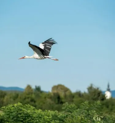 davor-denkovski-unsplash alsace-vosges-davor-denkovski-unsplash