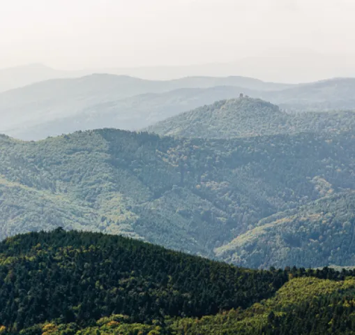 massif-vosges